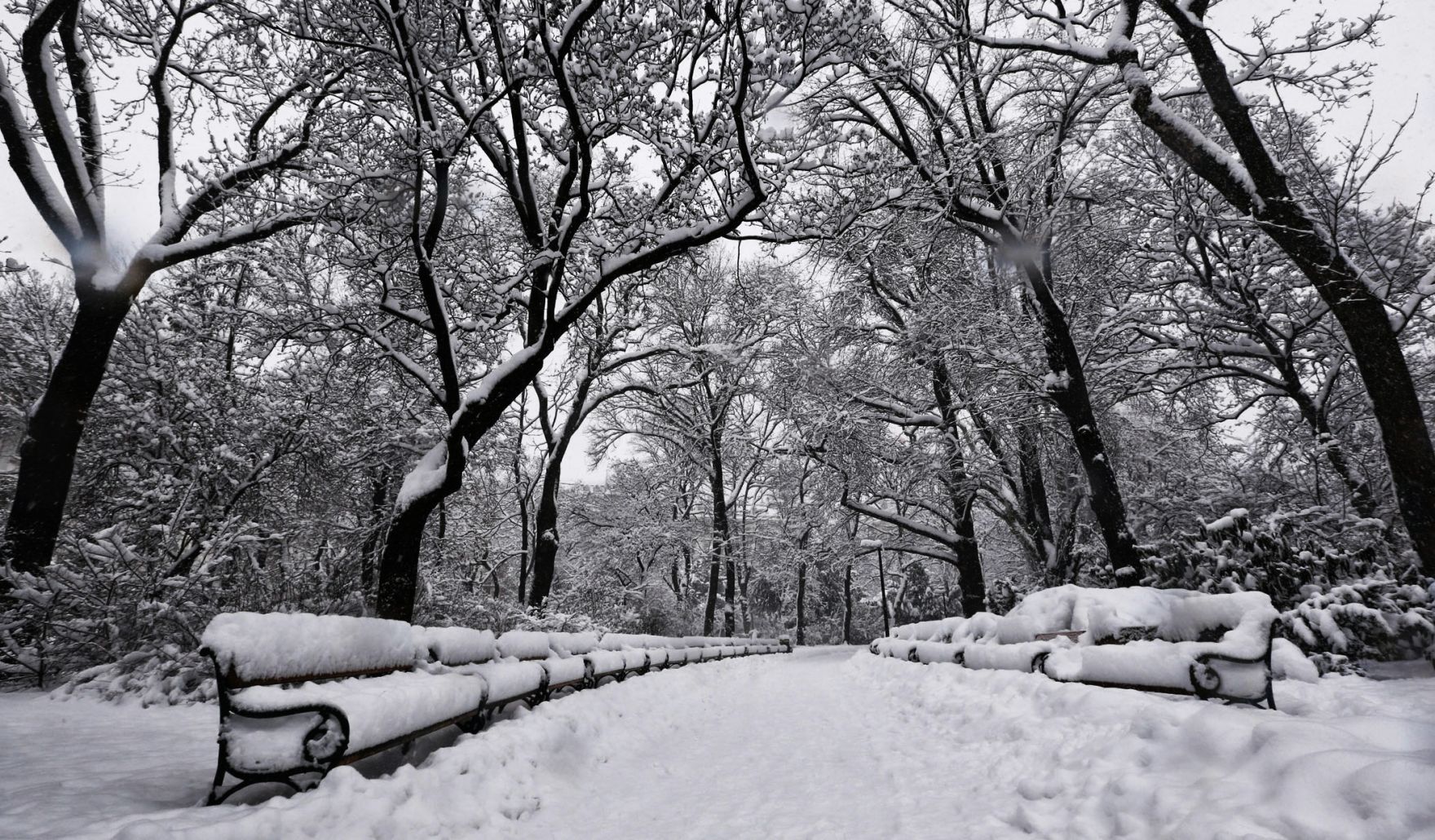 Eine winterliche Aufnahme des Rathausparks. Schlagworte: B&auml;ume, Natur, Parkb&auml;nke, Schnee, Stadtlandschaft, Winter