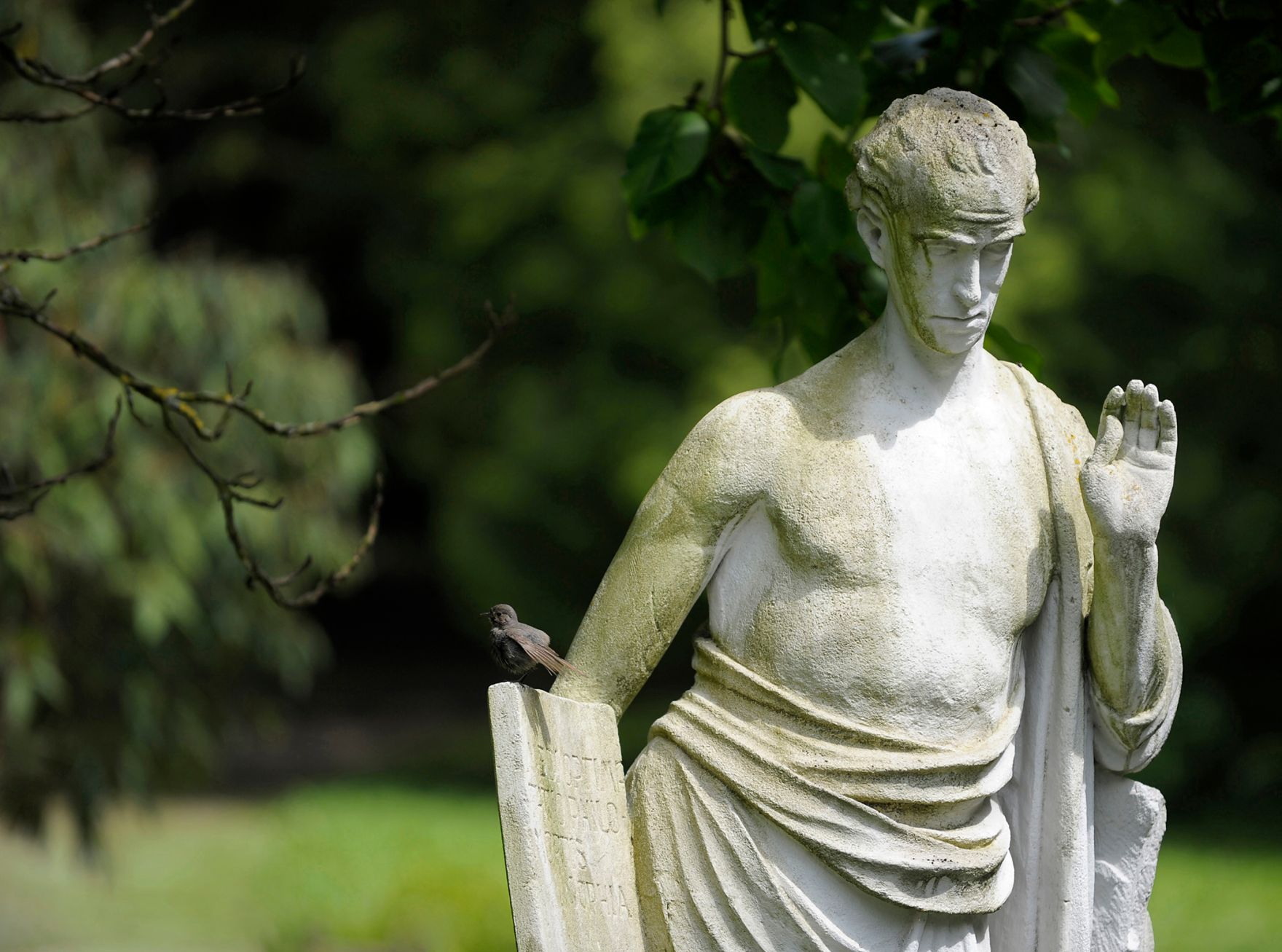 Statue im Garten des Wiener Schloss Laudon Schlagworte: Park, Stadtlandschaft, Statue, Tier, Vogel