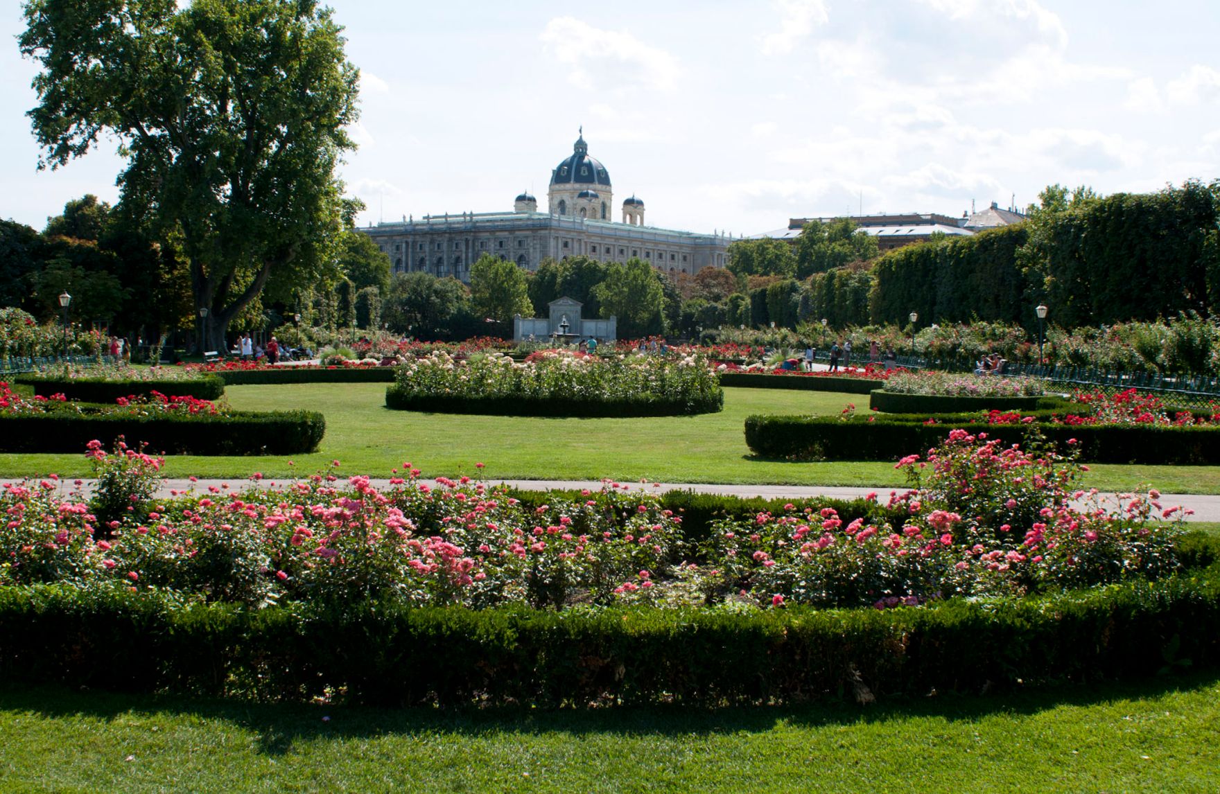 Volksgarten mit Roten Rosen im Vordergrund. Schlagworte: B&auml;ume, Blumen, Natur, Park, Pflanzen, Rosen, Stadtlandschaft, Wiese