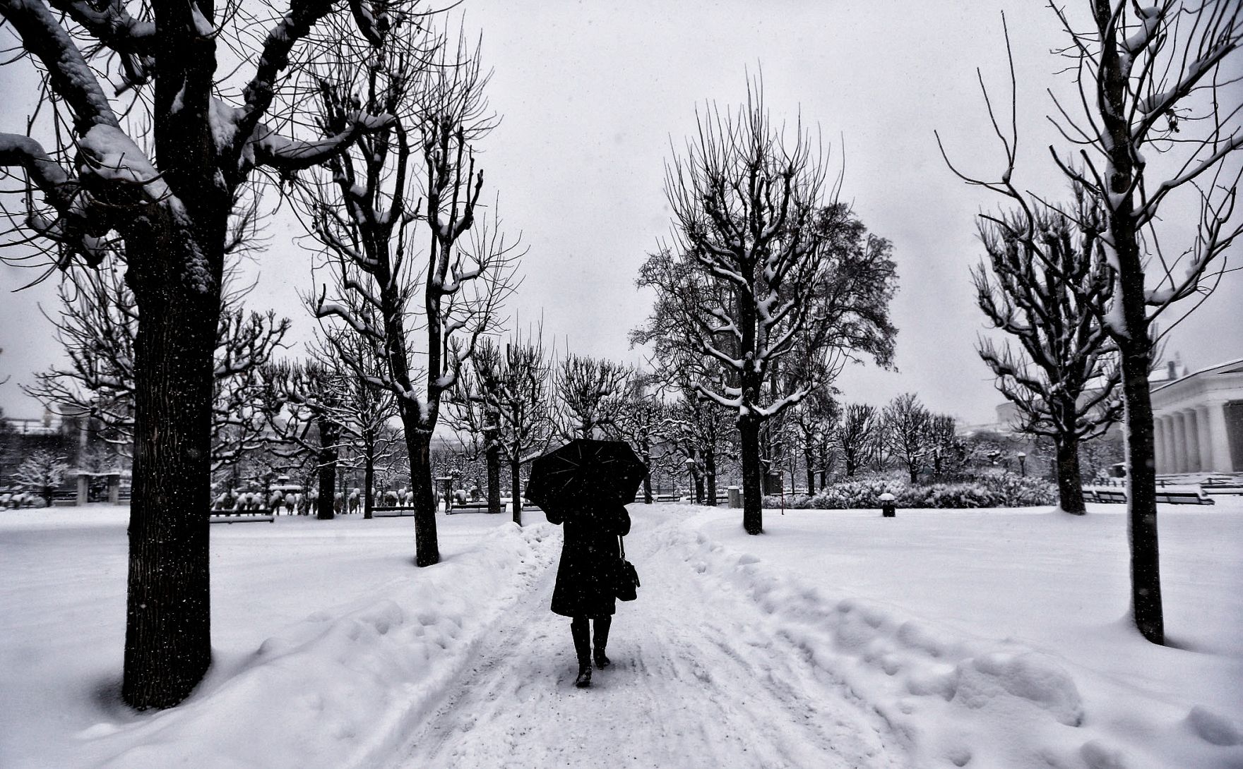 Eine winterliche Aufnahme des Volksgartens. Schlagworte: B&auml;ume, Mensch, Natur, Regenschirm, Schnee, Stadtlandschaft, Winter