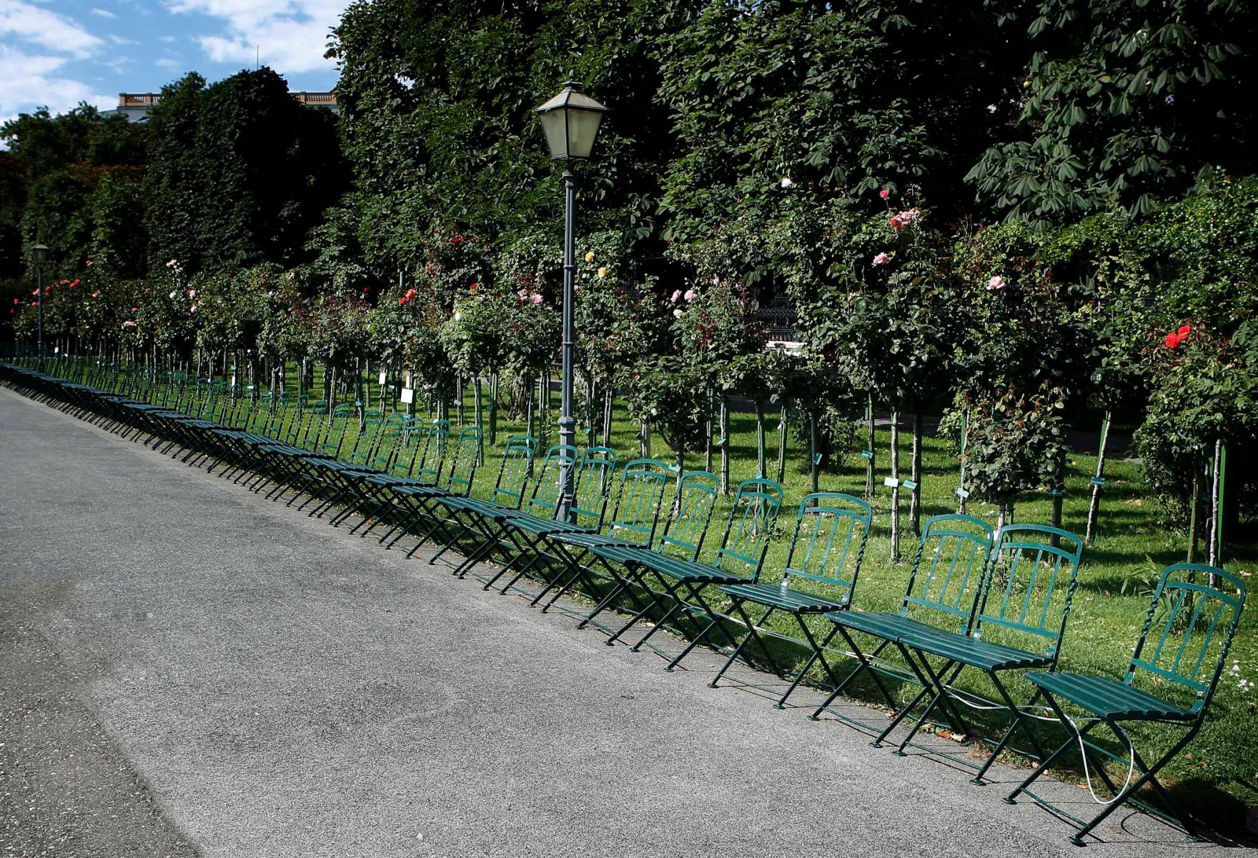 Eine Reihe leerer, gr&uuml;ner Sessel im Volksgarten. Schlagworte: B&auml;ume, Blumen, Laterne, Natur, Park, Rosen, Pflanzen, Sessel, Stadtlandschaft, St&uuml;hle, Wiese