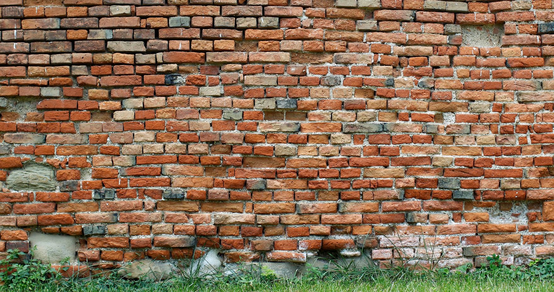 Eine Ziegelmauer im botanischen Garten. Schlagworte: Mauer, Steine, Ziegelsteine, Ziegelwand