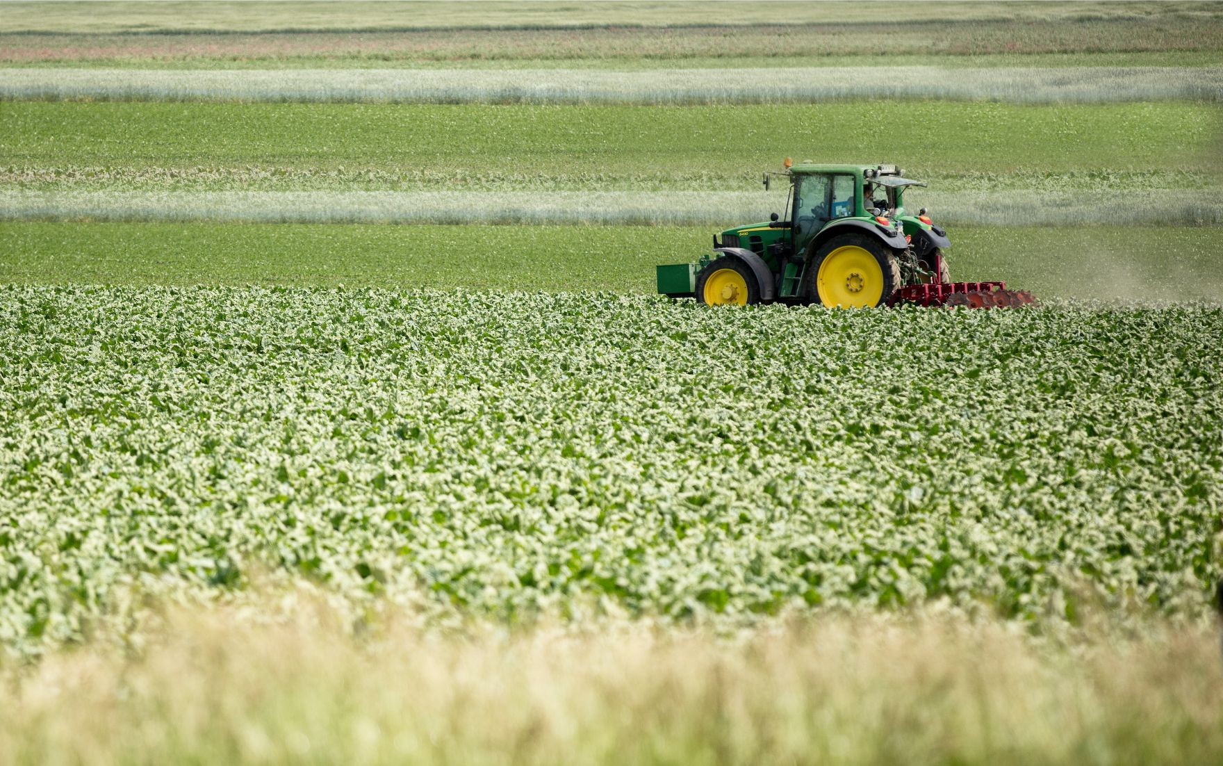 Ein Traktor im Feld. Schlagw&ouml;rter: Feld, Traktor, gr&uuml;n, Wiese, Landwirtschaft, Agrarwirtschaft, Gem&uuml;se, Rat f&uuml;r Landwirtschaft und Fischerei, AGRIFISH, Rat f&uuml;r Umwelt, ENVI