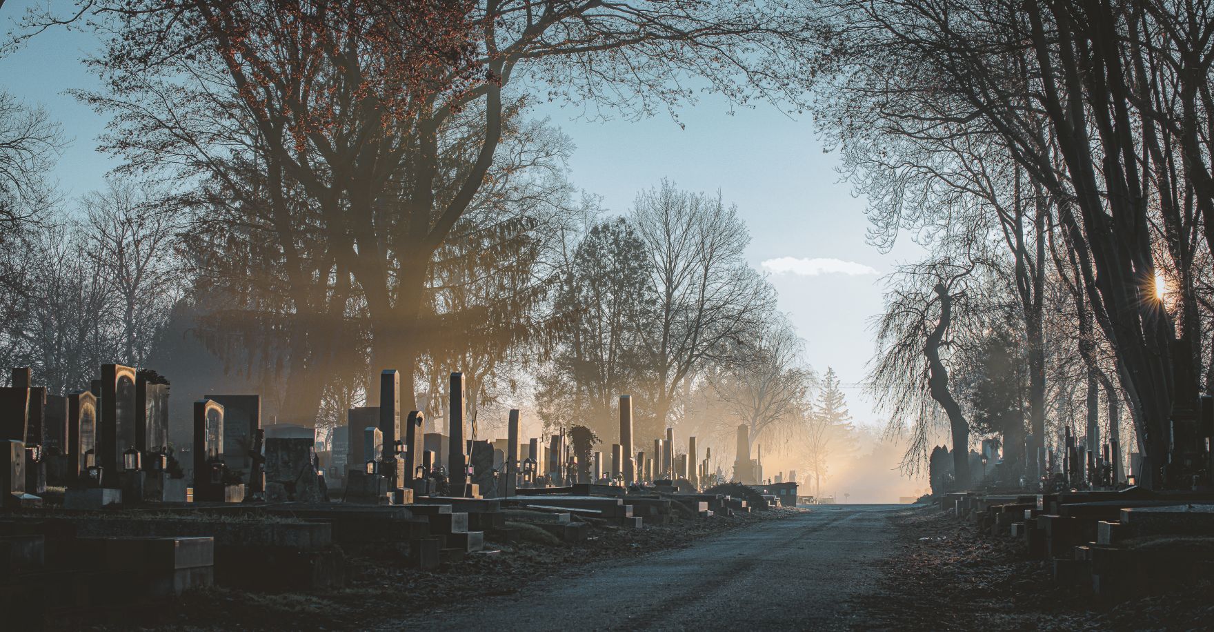 Wiener Zentralfriedhof: Morgenstimmung, Friedhof, Friedhofsruhe, Nebel, Wien, Winter, Sonnenaufgang