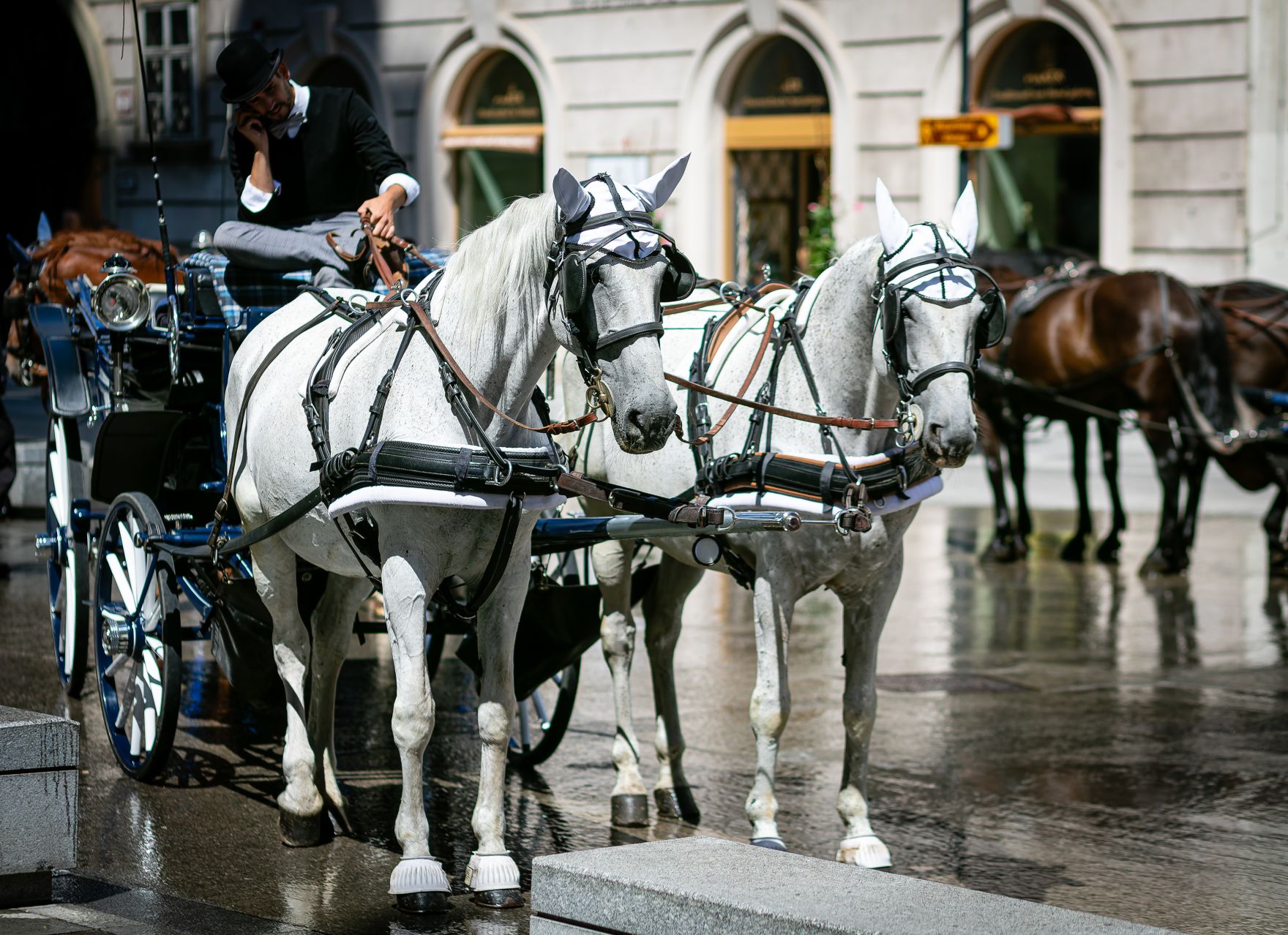 Wien, Fiaker, Stadtbild