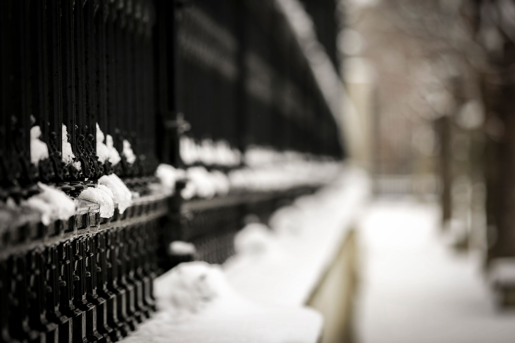 Geb&auml;ude und Impressionen der Wiener Innenstadt im Winter. Schlagw&ouml;rter: Wien, Innenstadt, 1. Bezirk, Schnee, Winter, Park, Volksgarten, Zaun