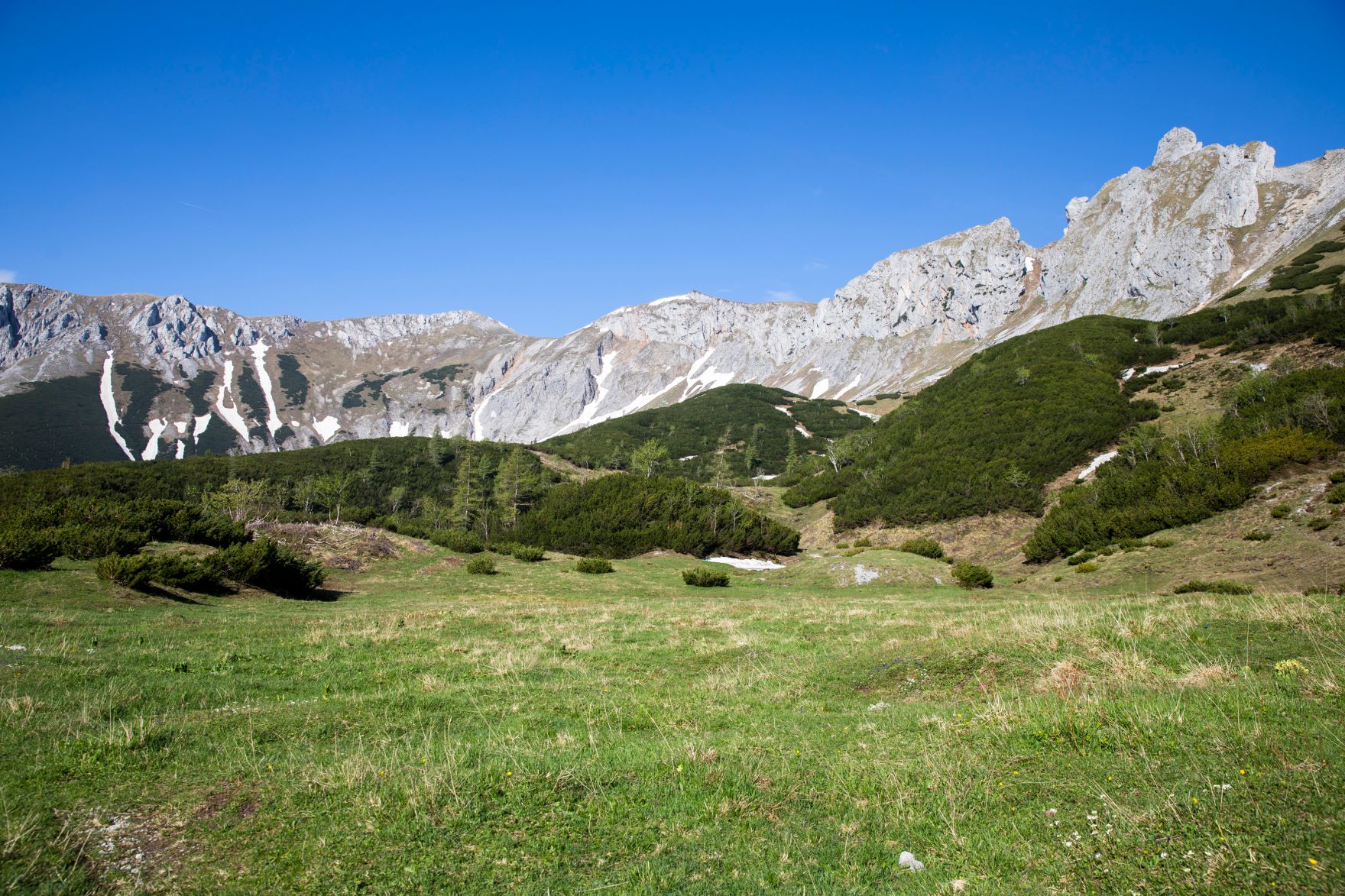 Eine Berglandschaft in der Steiermark. Schlagw&ouml;rter: Berge, Natur, Wald, W&auml;lder, Wiese, Stein, Gestein, Holz, Ger&ouml;ll, Schnee, Gipfel, Rat f&uuml;r Umwelt, ENVI