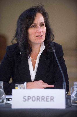 Roma Dialogplattform am 26.11.2012