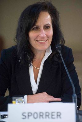 Roma Dialogplattform am 26.11.2012