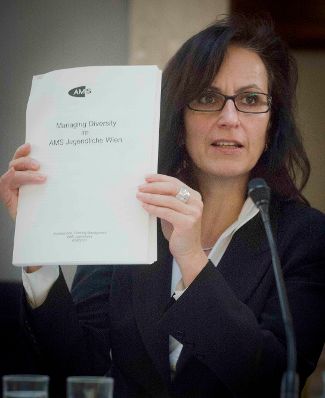 Roma Dialogplattform am 26.11.2012