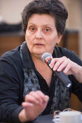 Roma Dialogplattform am 26.11.2012