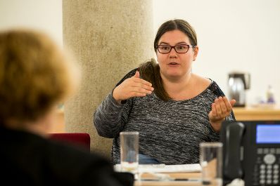 Am 25. November 2016 fand die 18. Roma Dialogplattform des Bundeskanzleramts zum Thema &bdquo;Notreisende EU-B&uuml;rger in &Ouml;sterreich&ldquo; statt.