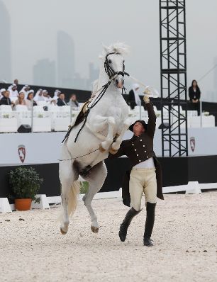 Am 23. M&auml;rz 2019 fand die Arbeitsreise von Bundeskanzler Sebastian Kurz in den Vereinigten Arabischen Emiraten statt. Im Bild bei einer &Uuml;bergabe eines Lippizzaners an Kronprinz Mohammed bin Zayed Al Nahyan.
