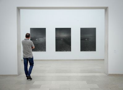 Am 2. September 2017 besuchte Kunst- und Kulturminister Thomas Drozda die Filmfestspiele Venedig und die Biennale.