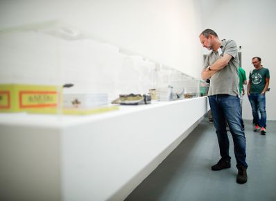 Am 2. September 2017 besuchte Kunst- und Kulturminister Thomas Drozda die Filmfestspiele Venedig und die Biennale.