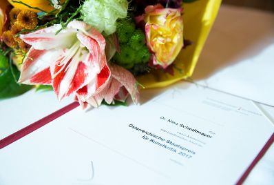 Am 2. November 2017 verlieh Kunst- und Kulturminister Thomas Drozda den &Ouml;sterreichischen Staatspreis f&uuml;r Kunstkritik an Nina Schedlmayer.