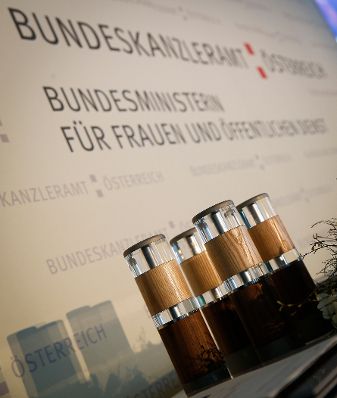 Am 7. Mai 2013 &uuml;berreichte Beamtenministerin Gabriele Heinisch-Hosek den Verwaltungspreis 2013 in der Akademie der Wissenschaften.