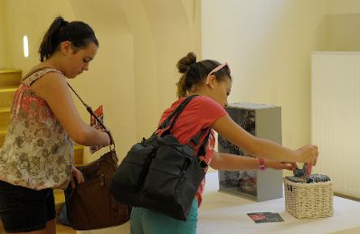 Am 20. Juni 2013 lud Frauenministerin Gabriele Heinisch-Hosek zum M&auml;dchentag &bdquo;Finde deinen Weg&ldquo; mit der Ausstellungser&ouml;ffnung &bdquo;Living in a Box&ldquo; und der Filmpr&auml;sentation &bdquo;Oh Yeah, She Performs!&ldquo; in das Palais Dietrichstein.