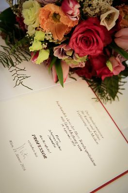 Am 13. J&auml;nner 2016 &uuml;berreichte Kunst- und Kulturminister Josef Ostermayer die Urkunde, mit der Johannes Fischer der Berufstitel Professor verliehen wurde.