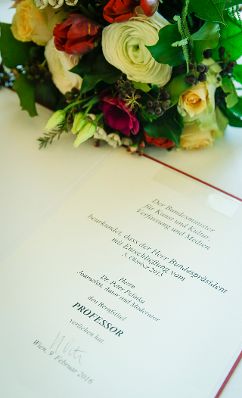 Am 9. Februar 2016 &uuml;berreichte Kunst- und Kulturminister Josef Ostermayer die Urkunde, mit der Peter Pelinka der Berufstitel Professor verliehen wurde.