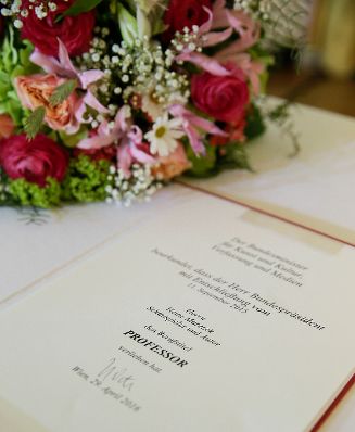 Am 25. April 2016 &uuml;berreichte Kunst- und Kulturminister Josef Ostermayer die Urkunde, mit der Heinz Marecek der Berufstitel Professor verliehen wurde.