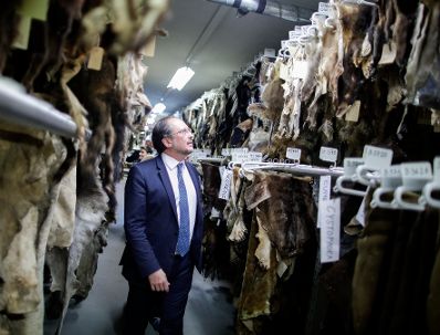 Am 10. Oktober 2019 besuchte Bundesminister Alexander Schallenberg das Naturhistorische Museum.