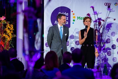 Am 7. November 2019 &uuml;berreichte Bundesministerin Ines Stilling im Rahmen der Verleihung des Meritus-Awards den Preis in der Kategorie Gro&szlig;betriebe an die Erste Group.