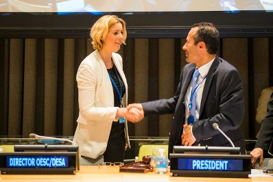 Am 9. Juli 2015 vertrat Staatssekret&auml;rin Sonja Ste&szlig;l &Ouml;sterreich beim High-Level-Forum des Wirtschafts- und Sozialrates der Vereinten Nationen in New York zu Zielen der Nachhaltigen Entwicklung.