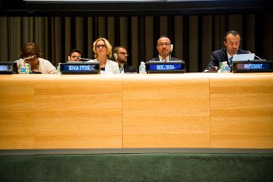 Am 9. Juli 2015 vertrat Staatssekret&auml;rin Sonja Ste&szlig;l &Ouml;sterreich beim High-Level-Forum des Wirtschafts- und Sozialrates der Vereinten Nationen in New York zu Zielen der Nachhaltigen Entwicklung.