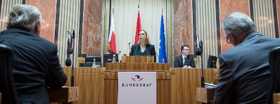 Am 18. November 2015 fand die parlamentarische Enquete &quot;Digitaler Wandel und Politik&quot; statt. Im Bild Staatssekret&auml;rin Sonja Ste&szlig;l.