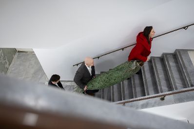 Am 11. Dezember 2025 wurde Bundesministerin Claudia Plakolm ein Weihnachtsbaum &uuml;berreicht.