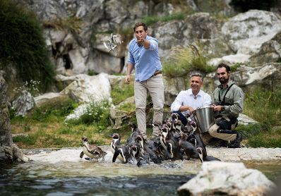 Am 9. Juli 2025 nahm Staatssekret&auml;r Alexander Pr&ouml;ll (l.) gemeinsam mit Bundesminister Wolfgang Hattmannsdorfer (m.) im Rahmen der ID-Austria Servicetour an der Pinguinf&uuml;tterung im Tiergarten Sch&ouml;nbrunn teil. Im Bild bei der ID-Austria Challenge.