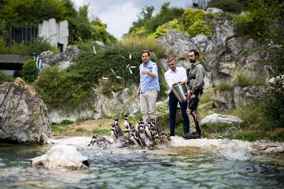 Am 9. Juli 2025 nahm Staatssekret&auml;r Alexander Pr&ouml;ll (l.) gemeinsam mit Bundesminister Wolfgang Hattmannsdorfer (m.) im Rahmen der ID-Austria Servicetour an der Pinguinf&uuml;tterung im Tiergarten Sch&ouml;nbrunn teil. Im Bild bei der ID-Austria Challenge.
