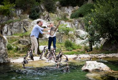 Am 9. Juli 2025 nahm Staatssekret&auml;r Alexander Pr&ouml;ll (l.) gemeinsam mit Bundesminister Wolfgang Hattmannsdorfer (r.) im Rahmen der ID-Austria Servicetour an der Pinguinf&uuml;tterung im Tiergarten Sch&ouml;nbrunn teil. Im Bild bei der ID-Austria Challenge.