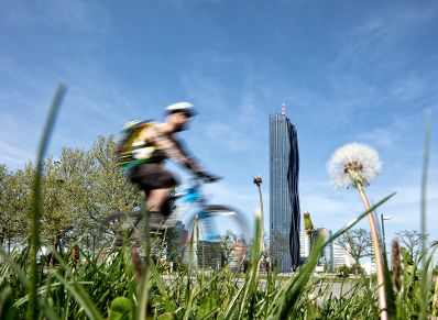 Radfahrer auf der Wiener Donauinsel. Schlagw&ouml;rter: Radfahrer, Donauinsel, Wien, DC Tower, Donau City Tower, Rat f&uuml;r Bildung, Jugend, Kultur, Sport, EYC