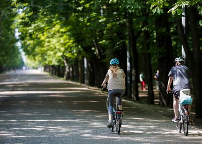 Radfahrer im Prater. Schlagw&ouml;rter: Gesundheit, Vitalit&auml;t, Leben, Wiese, Prater, Wien, Sport, Hauptallee, Rat f&uuml;r Bildung, Jugend, Kultur, Sport, EYC