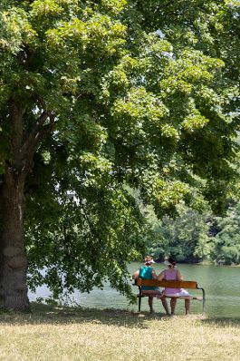 Personen sitzen auf einer Parkbank an der alten Donau. Schlagw&ouml;rter: Wasser, alte Donau, Parkbank, B&auml;ume