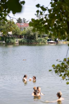 Personen schwimmen in der alten Donau. Schlagw&ouml;rter: Wasser, Schwimmen, Familie, Donau, B&auml;ume