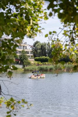 Ein Boot f&auml;hrt auf der alten Donau. Schlagw&ouml;rter: Wasser, alte Donau, B&auml;ume