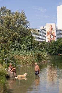 Personen schwimmen in der alten Donau, vor der UNO-City. Schlagw&ouml;rter: Wasser, Schwimmen, Hund, UNO, Donau, B&auml;ume