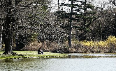 Eine fr&uuml;hlingshafte Aufnahme des Parks von Laxenburg. Schlagworte: B&auml;ume, Fr&uuml;hling, Natur, Park, Parkbank, Pflanzen, Wasser