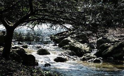 Eine fr&uuml;hlingshafte Aufnahme des Parks von Laxenburg. Schlagworte: B&auml;ume, Fr&uuml;hling, Natur, Park, Parkbank, Pflanzen, Wasser