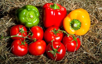 Eine Auswahl von Gem&uuml;se. Schlagworte: Gem&uuml;se, Heu, Lebensmittel, Natur, Paprika, Tomaten