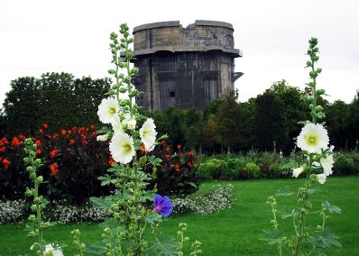 Flagturm und Blumen im Augarten. Schlagworte: Architektur, Blumen, Geb&auml;ude, Natur, Park, Sehensw&uuml;rdigkeit, Stadtlandschaft