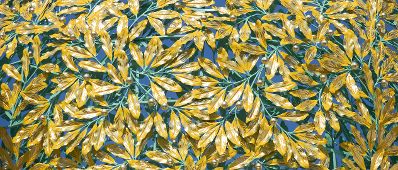 Das Ausstellungsgeb&auml;ude der Wiener Secession Schlagworte: Architektur, Denkmal, Geb&auml;ude, Sehensw&uuml;rdigkeit, Stadtlandschaft