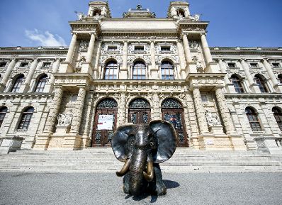 Das Naturhistorische Museum. Schlagw&ouml;rter: Architektur, Denkmal, Geb&auml;ude, Sehensw&uuml;rdigkeit, Stadtlandschaft