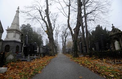 Impression des alten Teils des Wiener Zentralfriedhof. Schlagworte: Friedhof, Gr&auml;ber, Natur, Stadtlandschaft, Zentralfriedhof
