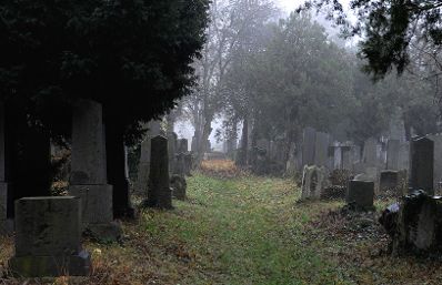 Impression des alten Teils des Wiener Zentralfriedhof. Schlagworte: Friedhof, Gr&auml;ber, Natur, Stadtlandschaft, Zentralfriedhof