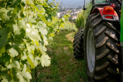 Ein Traktor auf den Weinbergen in Ottakring. Schlagw&ouml;rter: Weinreben, Berg, Berge, Traktor, H&uuml;tte, Holz, Horizont, Landwirtschaft, Stadt