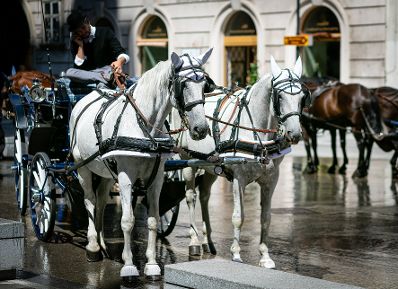 Wien, Fiaker, Stadtbild